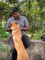 Tamilmani P