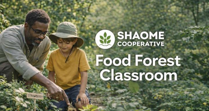 Food Forest Classroom