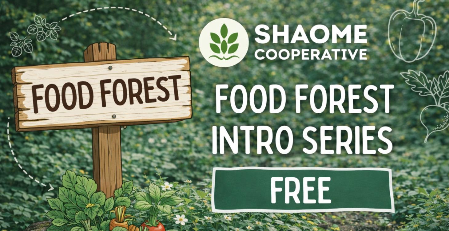 FREE Food Forest Intro Series