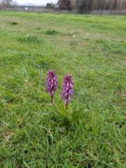 Géraldine Gras