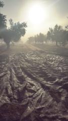 Antonio Jesus Camargo