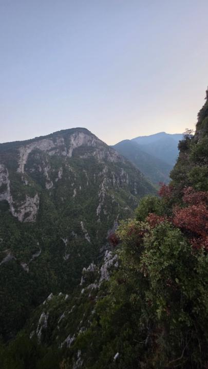 Péter Kimmel-Szabó