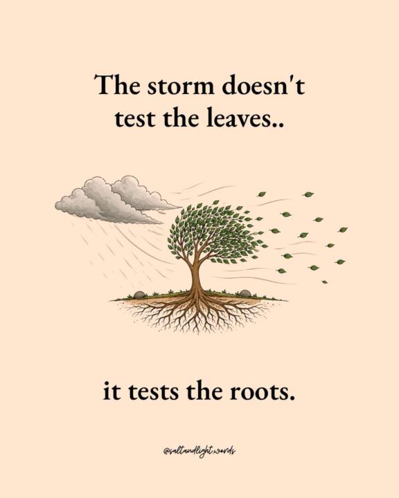Rooted in Christ ✝️
