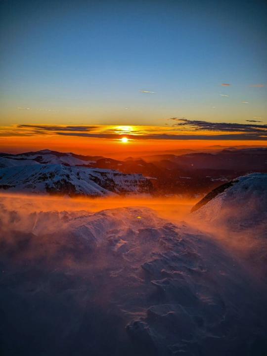 Simona Constantinescu