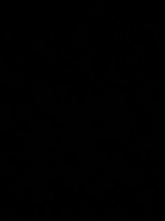 شهد الشريده