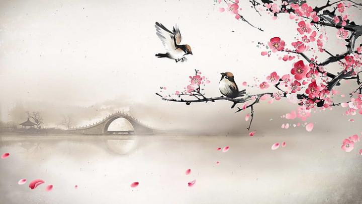 Nele Groth