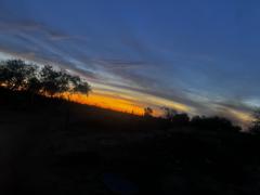 Ana Nicol Álvarez Robles