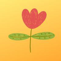 Pauliina Peräjärvi