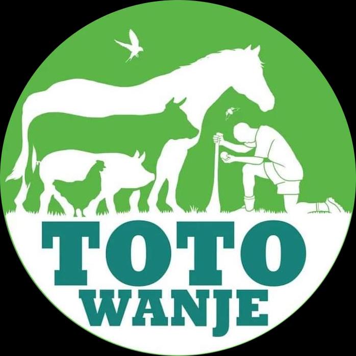 Toto Wanje