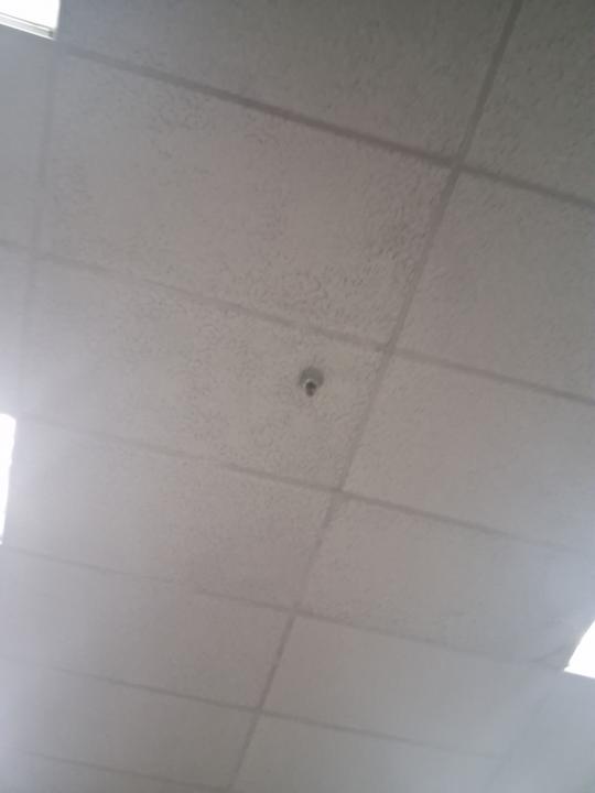 Staying at the ceiling.