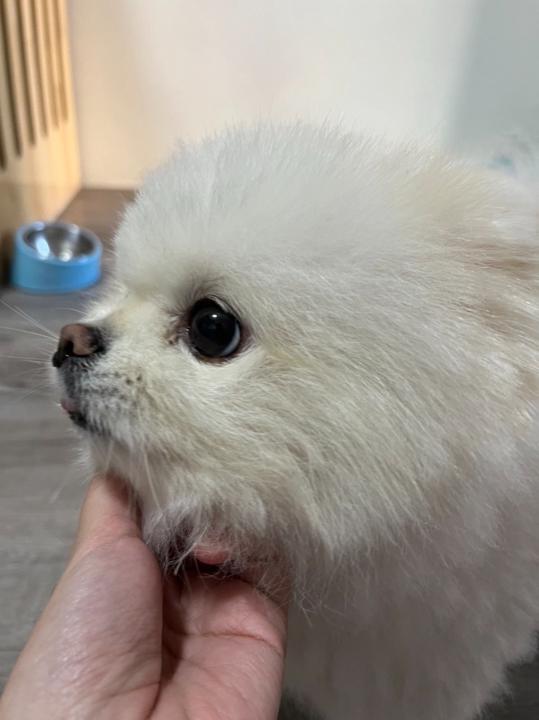 大佑 盧