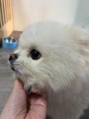 大佑 盧