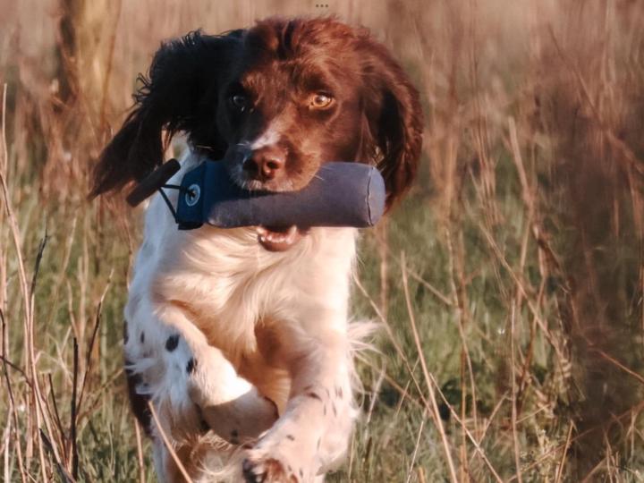 Jens-Jørgen Vittrup Jensen