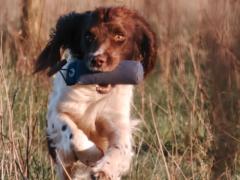 Jens-Jørgen Vittrup Jensen