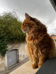 Quentin La doude