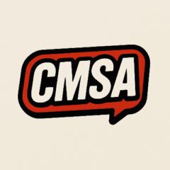 Cmsa Consulting