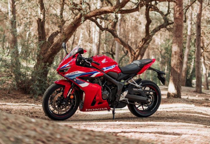 Manuel Pauner Martin