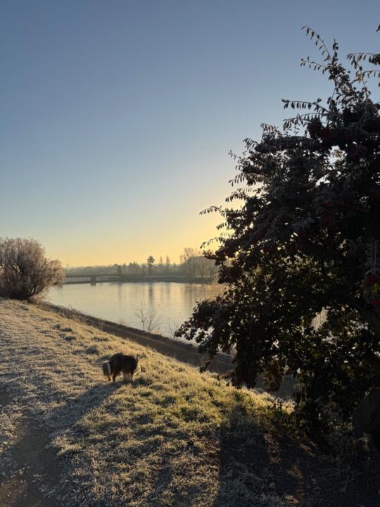 Zoé Machado Formiga