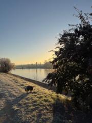 Zoé Machado Formiga
