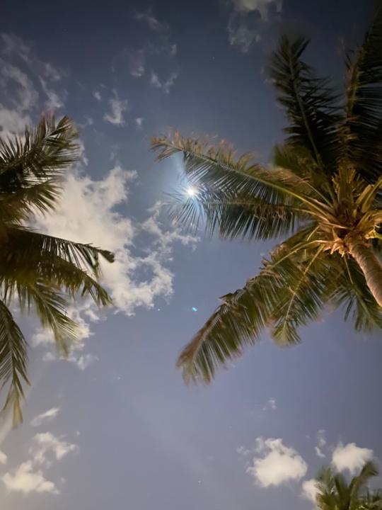 فيصل الزهراني