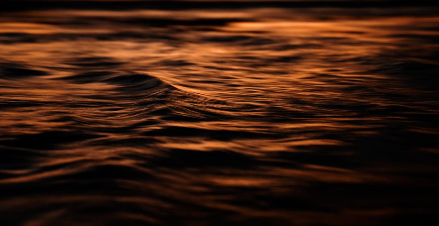 Creator Mindset & Sustainability 🧬