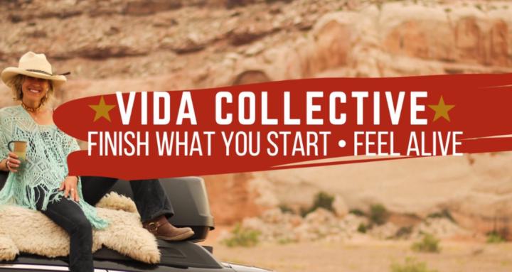 🌀 The Vida Collective