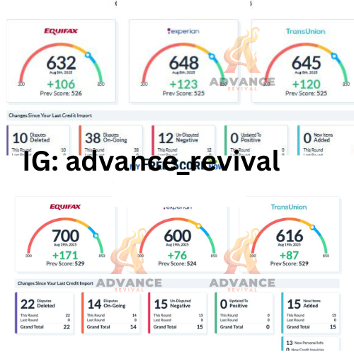 Results + information + insight 