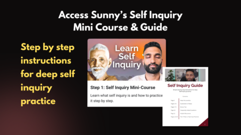 Self Inquiry Support Group gallery image