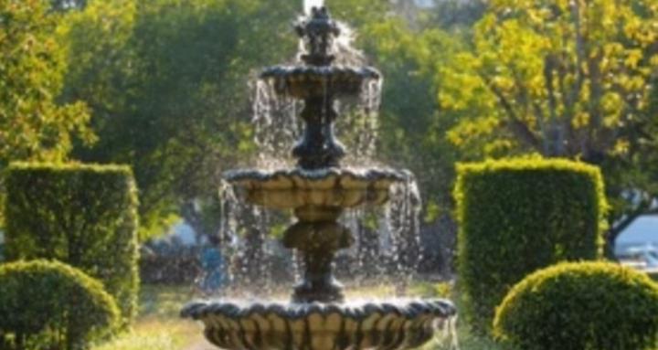 Living Waters Collective