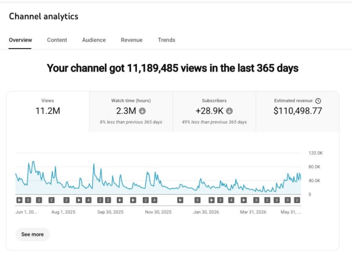 11.2 Million Views | $110,498.77 Revenue in 365 Days