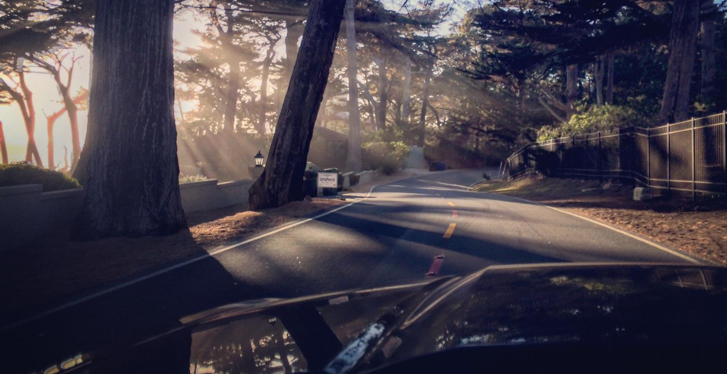 Phone photography 101