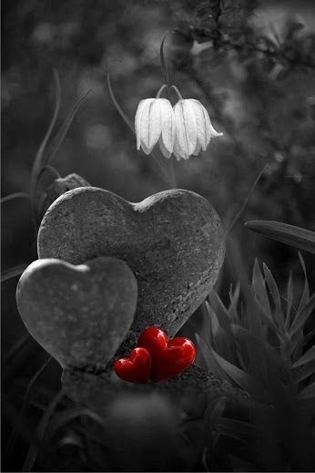 ايمان عرابي