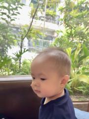 Bao Bao