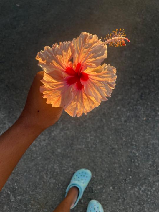 Melina Férus Joseph