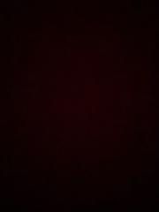 سعود محمد العنري