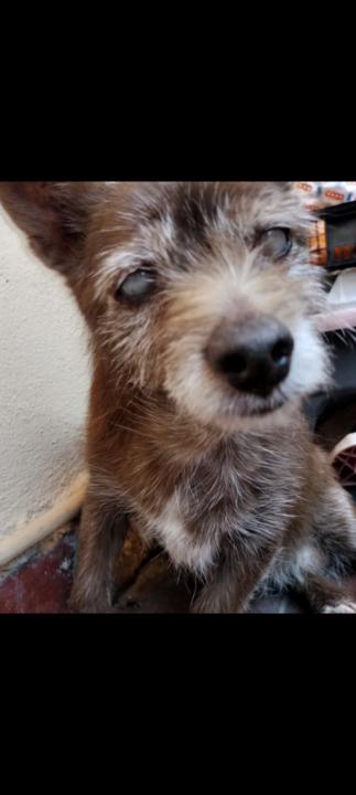 Piana davide Davidepiana