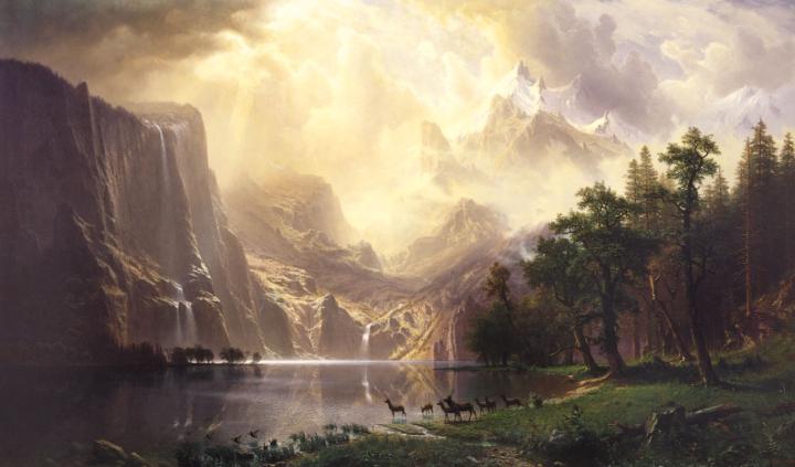 Daniel Cifre