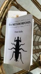 Pablo Garcia Martinez