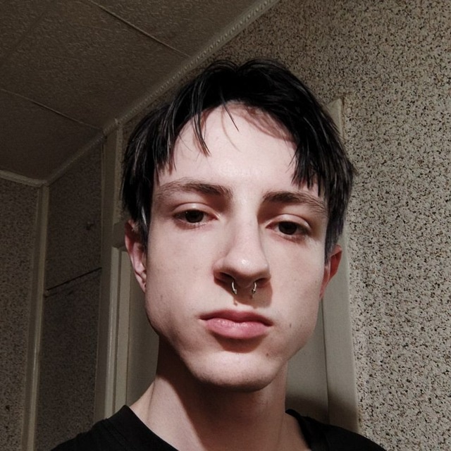 Почифора Инрикос