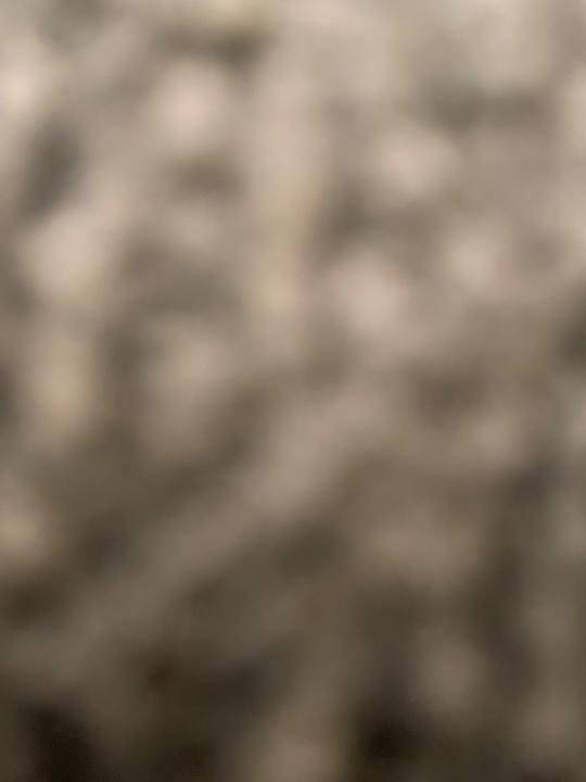 Jamal ALrasheedi