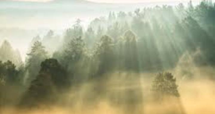 Soulmadica Sanctuary