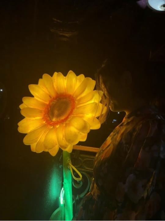 Bhawna Sawle