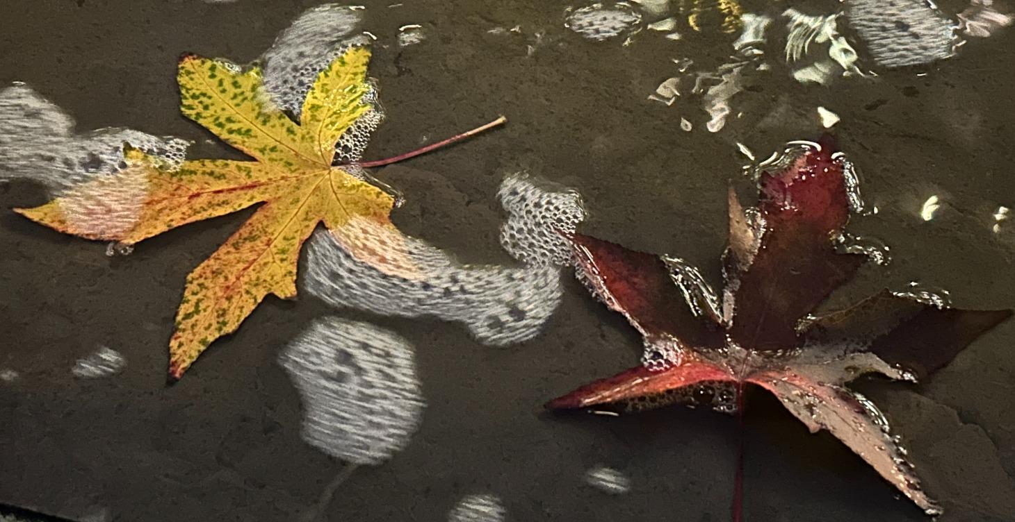 Pagan Lessons Turned Towards God (PLTTG)