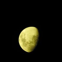 Antony Almanacin Pineda