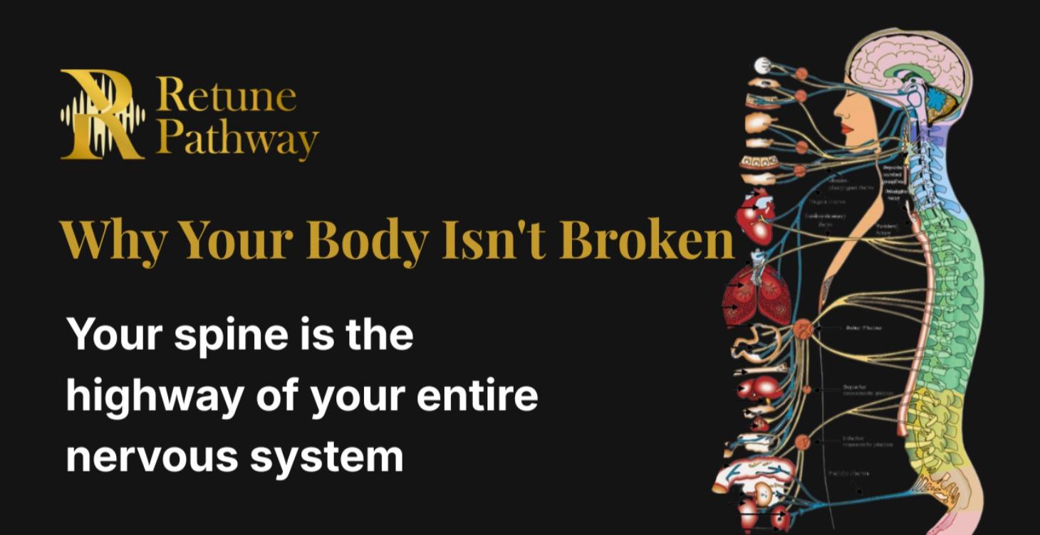 📖 Why Your Body Isn't Broken