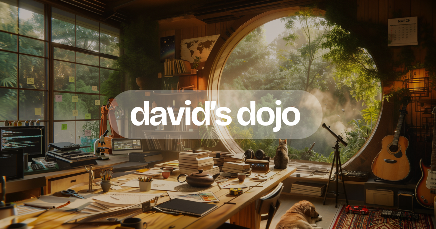 david's dojo