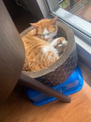 Juliana Arango Ríos