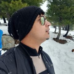Rajib Roy