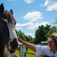 Mitra Nobakht-Eivaly