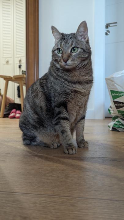 Juliana Juliana Iglesias